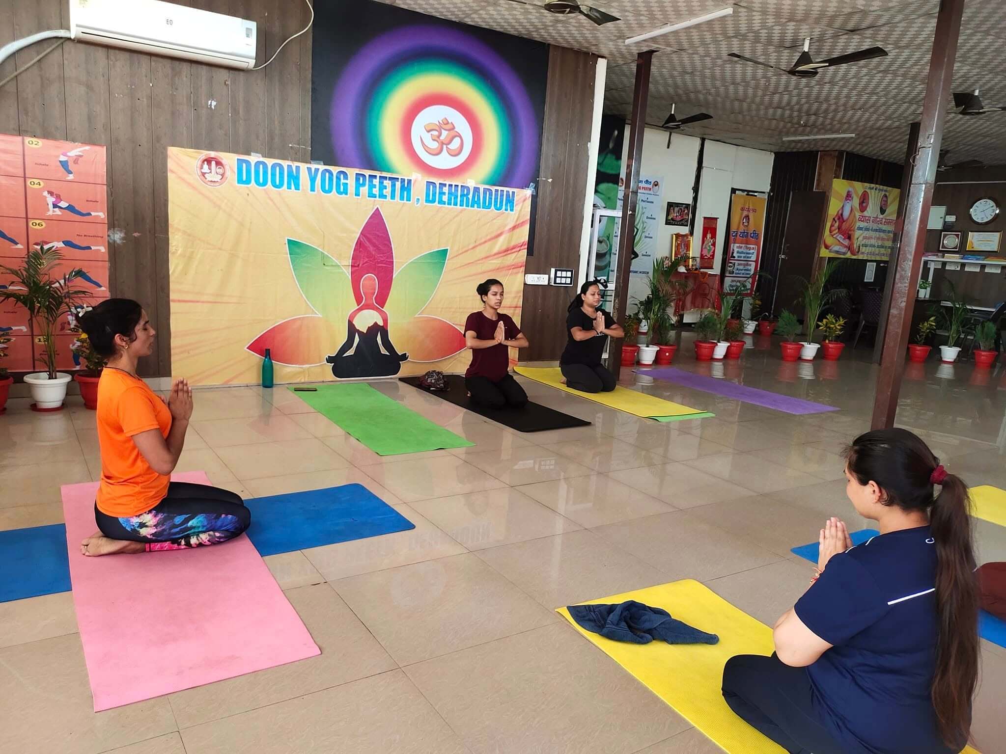 Senior citizens' gentle yoga session